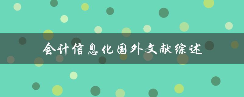 什么是会计信息化国外文献的综述