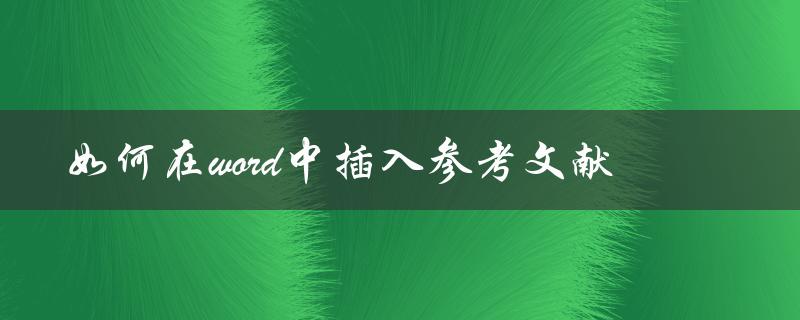 如何在word中插入参考文献