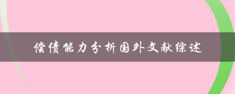 如何综述国外文献中的偿债能力分析