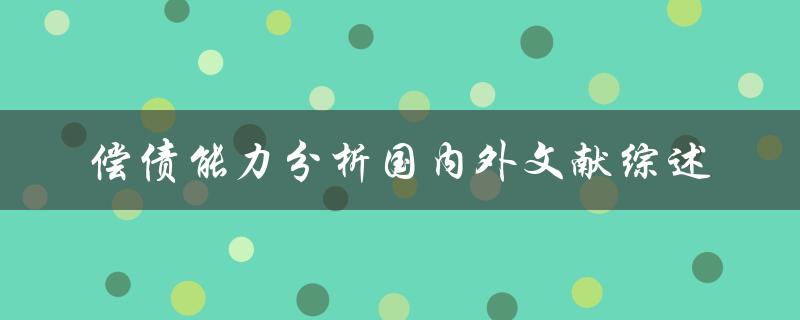 偿债能力分析国内外文献综述