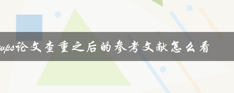 wps论文查重之后的参考文献怎么看