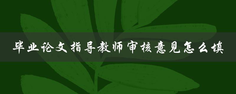 毕业论文指导教师审核意见怎么填