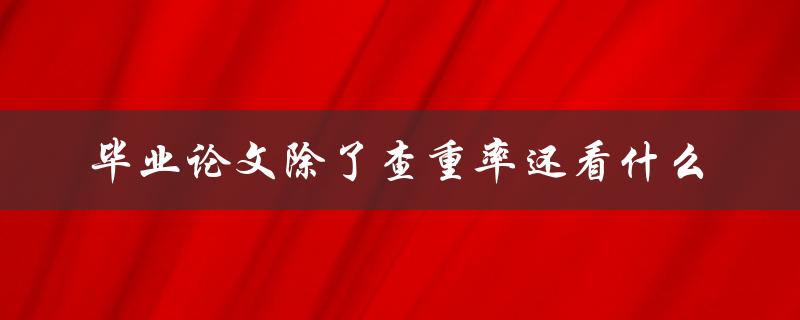 毕业论文除了查重率还看什么
