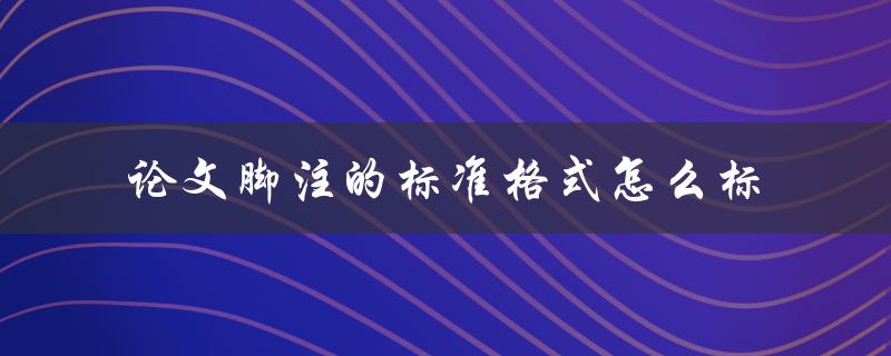 论文脚注的标准格式怎么标
