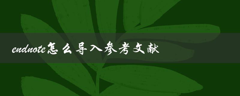 endnote怎么导入参考文献