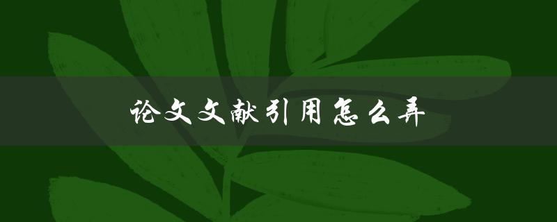论文文献引用怎么弄(有哪些常用的引用格式)