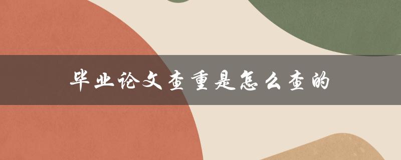 毕业论文查重是怎么查的