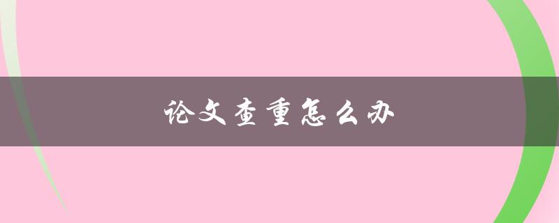 论文查重怎么办(一篇论文可以提交多次查重吗)
