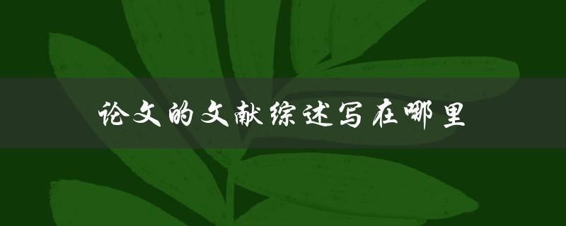 论文的文献综述写在哪里