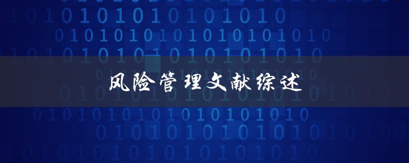 风险管理文献综述(有哪些重要的研究成果和趋势)