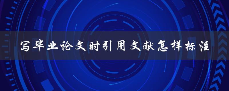 写毕业论文时引用文献怎样标注
