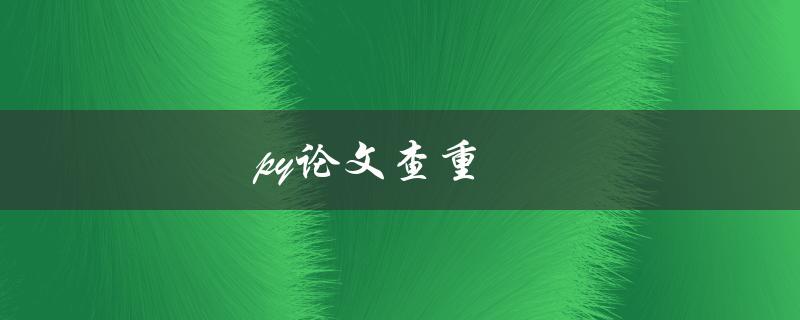 py论文查重(有哪些常用的查重工具和方法)