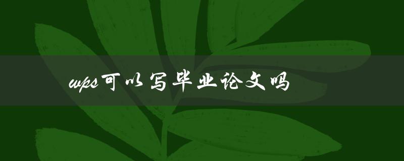 wps可以写毕业论文吗(优缺点分析与使用技巧)