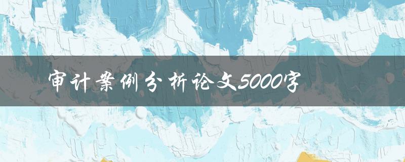 审计案例分析论文5000字