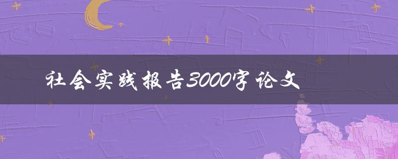社会实践报告3000字论文