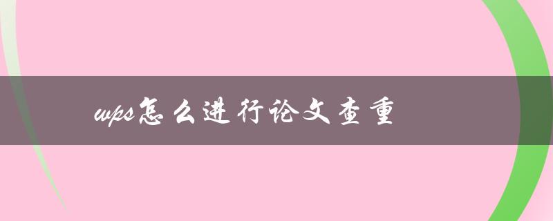 wps怎么进行论文查重(简单操作步骤)