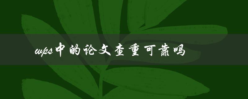 wps中的论文查重可靠吗
