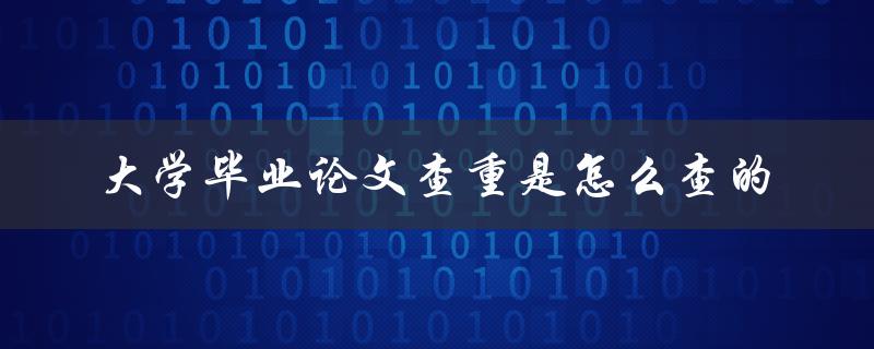 大学毕业论文查重是怎么查的