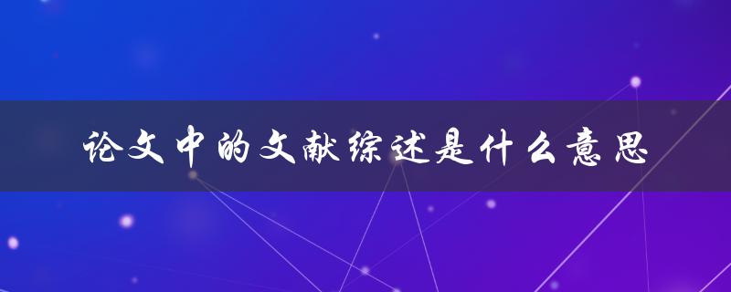 论文中的文献综述是什么意思