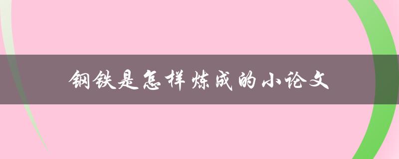 钢铁是怎样炼成的小论文