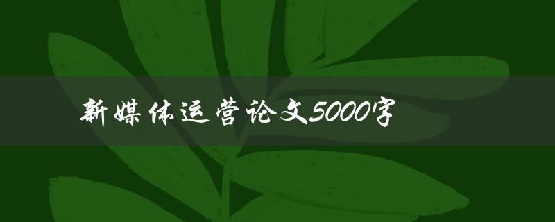 新媒体运营论文5000字(如何撰写高质量的论文)