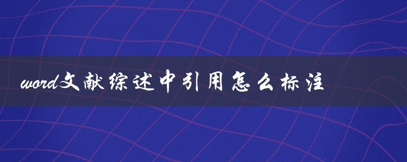 word文献综述中引用怎么标注