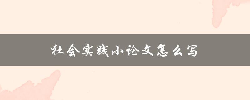 社会实践小论文怎么写
