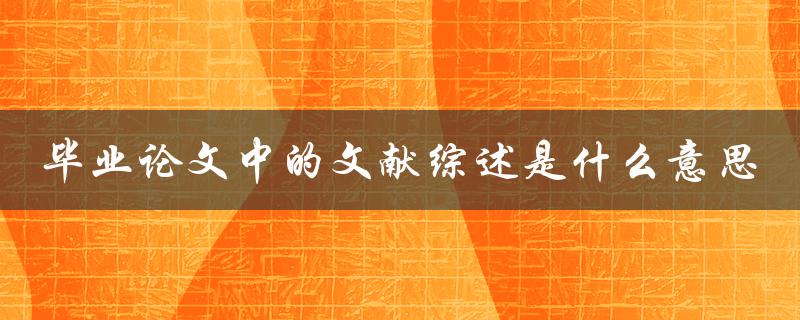 毕业论文中的文献综述是什么意思